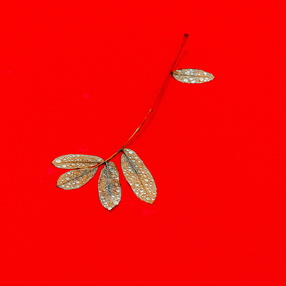 Minimalismus_Rot
